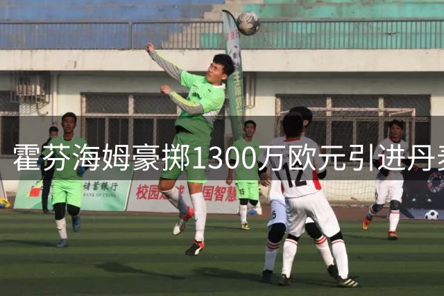 霍芬海姆豪掷1300万欧元引进丹麦新星达吉姆